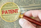 怎么区分申请的专利属于哪类归属人？